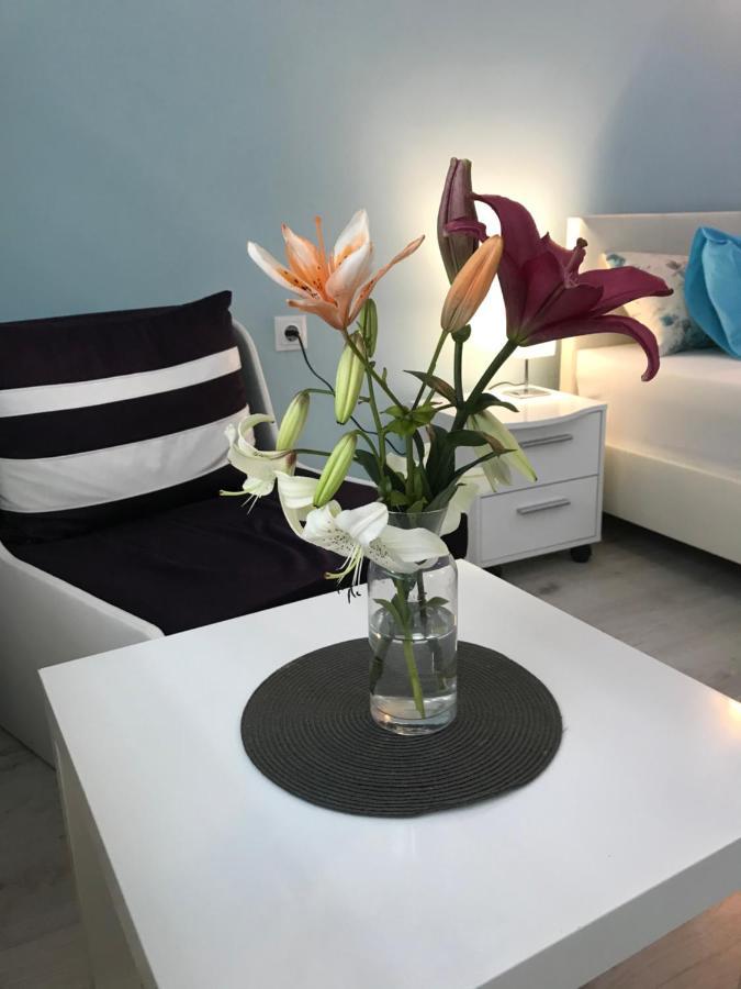 White Rose Guest Rooms Μπουργκάς Εξωτερικό φωτογραφία