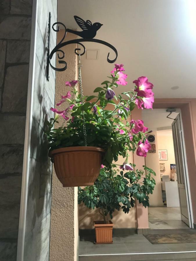 White Rose Guest Rooms Μπουργκάς Εξωτερικό φωτογραφία